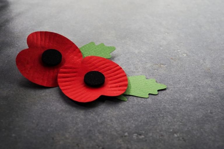 Support Remembrance Day and Remembrance Sunday events in Bath and North East Somerset